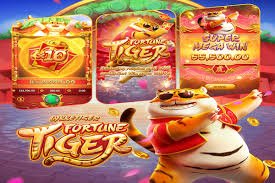 bet70 login